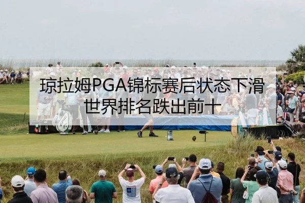 qiong-la-mu-jin-biao-sai-hou-zhuang-tai-xia-hua-shi-jie-pai-ming-die-chu-qian-shi-2-475.jpg