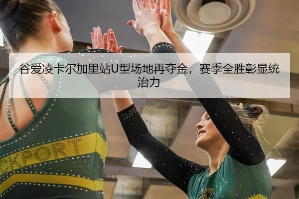gu-ai-ling-ka-er-jia-li-zhan-xing-chang-di-zai-duo-jin-sai-ji-quan-sheng-zhang-xian-tong-zhi-li-2-487.jpg